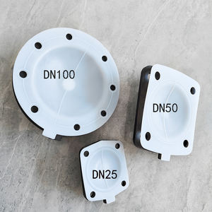 फार्मेसी खाद्य ग्रेड डायाफ्राम वाल्व गैसकेट प्रबलित रबर PTFE डायाफ्राम - Product Image 3