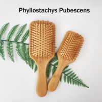 Brosse à cheveux carrée en bambou écologique antistatique pour la santé capillaire, brosse à coussin pour le cuir chevelu, peigne de massage en bambou