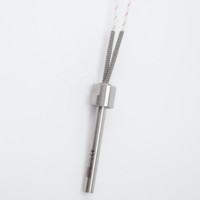 Allumeur à cartouche à tête unique en acier inoxydable 220V 200W pour Pit Boss avec garantie de 3 ans pour four à barbecue sans fumée
