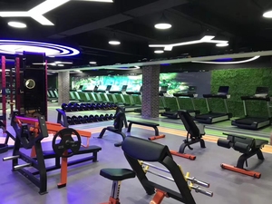 EVERE FITNESS Camber <span class=keywords><strong>Curl</strong></span> Biceps Gym Fitness Machine para uso en gimnasio y Club - Product Image 2