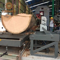YSDMILL Yüksek Hassasiyetli 48 İnç Ağır Hizmet Tipi Dikey Bant Testere Makinesi 37/55kw Motorlu Otomatik Odun Kesme Makinesi (Maksimum Kütük Boyu)