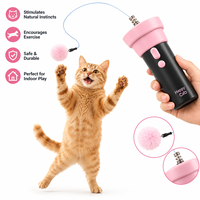 Baguette interactive manuelle pour chat en ABS avec design rétractable et lanceur à un clic pour le jeu des chats