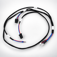 Harnais de câblage électrique personnalisé OEM avec borne annulaire pour équipement automobile, moto et industriel