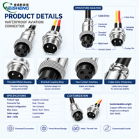 Ensemble de câbles de connexion circulaires étanches personnalisés à 2 broches, faisceau de câbles d'alimentation industrielle