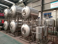 Réservoir Brite en acier inoxydable empilable horizontalement de 250 L, personnalisé, pour brasserie artisanale, conditionnement et stockage de bière en espace limité