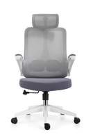 Chaise de bureau ergonomique en maille avec accoudoirs réglables et coussin lombaire, chaises de bureau modernes personnalisables avec logo