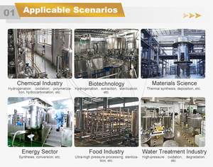 Hochdruck-Edelstahl-Reaktortank mit Rührwerk und Temperaturregelung - Product Image 6