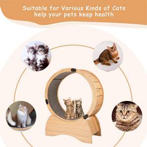 Support de jouet pour <span class=keywords><strong>chat</strong></span> en bois moderne roue de course silencieuse planche de fitness exercice cadre d'escalade pour animaux de compagnie tapis roulant-dégagement arbres <span class=keywords><strong>à</strong></span> <span class=keywords><strong>chat</strong></span> grattoir - Product Image 3