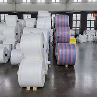 Sac tissé en polypropylène laminé coloré d'usine de la Chine rouleau de tissu pp pour la fabrication de sacs
