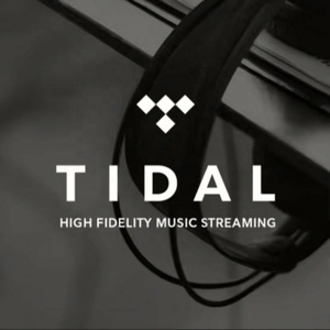 บัญชีสมาชิก Tidal HiFi Plus แบบพรีเมียม 12 เดือน สำหรับสตรีมเพลงคุณภาพสูง - Product Image 3
