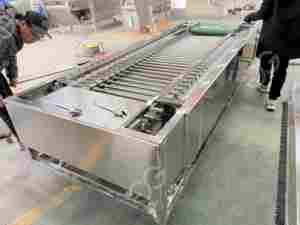 Pepino do Mar Automático Morrer Grading <span class=keywords><strong>Processing</strong></span> Machine Grader <span class=keywords><strong>Plant</strong></span> <span class=keywords><strong>Orange</strong></span> Lavagem Depilação e Classificação Linha de Produção - Product Image 4