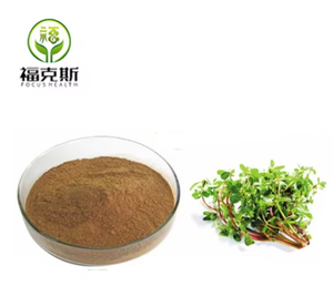 Chất lượng cao chiết xuất thảo dược <span class=keywords><strong>bacopa</strong></span> <span class=keywords><strong>monnieri</strong></span> chiết xuất bột với bacoposide lớn hơn than20 % - Product Image 2