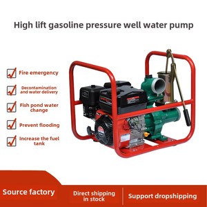 Waterpro Factory Direct 4.5HP High Pressure <b>Gasoline</b> Fire Pump Aluminum Enclosure Large Flow Farmland Irrigation Sewage Disposal - Product Image 4
