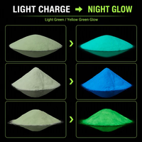 Pigment Luminescent Phosphorescent Inorganique Pampascolor Non Toxique à Luminescence Nocturne pour Cuir et Pigments de Revêtement