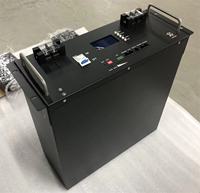 Batterie LiFePO4 24V 48V 51.2V 100Ah 300Ah pour stockage solaire mural/à rack avec BMS CAN/RS485 pour onduleur