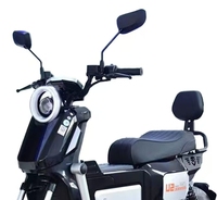 Vélo électrique puissant 800W avec batterie grande capacité 20Ah, livraison rapide depuis nos entrepôts USA et UE