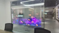 Pantalla LED Transparente para Hologramas P6.25, Cartel Digital para Publicidad en Ascensores y Aeropuertos