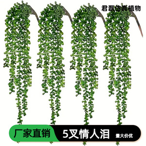 Plante suspendue Jun Lei Larmes d'amoureux, succulente artificielle, 200 cm, en plastique, pour décoration intérieure et extérieure, bouquet de verdure - Product Image 5