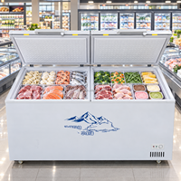 Congélateur coffre à double porte, grande capacité, avec roulettes, OEM ODM, vente en gros pour grossistes d'aliments surgelés