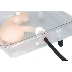Modelo de entrenamiento de gastroscopia simulada de PVC con simulación ESD altamente realista para cirugía de adultos, relación 1:1 - Product Image 2