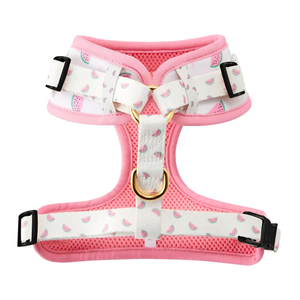 كلب بتصميم خاص امتصاص صدمات عالي الكثافة سهل الارتداء قابل للتحويل جميل للكلاب الكبيرة المتوسطة - Product Image 1