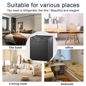 Mini Frigorifero per Auto e Casa in Acciaio Inox 30L, Frigo per Cosmetici e Bevande, Piccolo Refrigeratore - Product Image 4