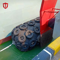 Good Price DOOWIN Marine Pneumatic Rubber Fender Inflatable for Boat Docking ISO 17357 Certified 2-Year Warranty