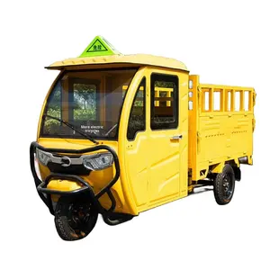 Kustom dewasa tugas berat tertutup taksi tertutup kanopi pertanian atau taksi kargo 3 roda tiga sepeda listrik roda tiga - Product Image 1