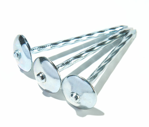 El precio de fábrica más barato 2.5 "* BWG9 <span class=keywords><strong>clavos</strong></span> de techo electro galvanizados con cabeza de paraguas - Product Image 3