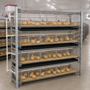 Cages d'élevage de poulets de type H pour la ponte des poules pondeuses, fabriquées par des professionnels, à <span class=keywords><strong>vendre</strong></span> - Product Image 4
