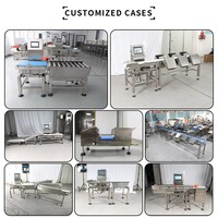 Máquina de Pesaje Automática de Alta Velocidad con Cinta Transportadora de Tres Etapas para Clasificación Precisa de Peso en Alimentos, Farmacéutica y Electrónica