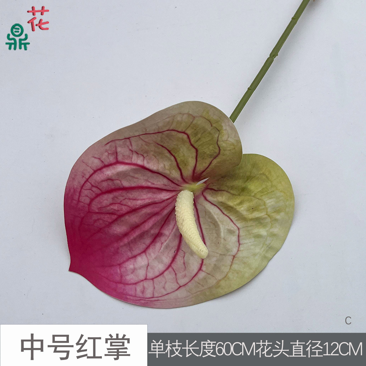 Anthurium rouge moyen C 6 noyau rose vert