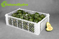 Caisse de fruits, d'avocats et de légumes, pliable, emboîtable, pour l'emballage, le stockage et l'expédition, pour les agriculteurs