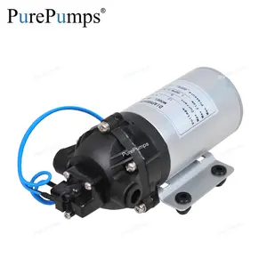 Micro DP60 DC12v Drucksc halter automatische Wasser aufbereitung anlage Membran kolben verstärker pumpe