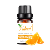 Parfum de maison 100% Pure Natural Cinnamon Leaf Sweet Orange Lemongrass Organic Aromatherapy Diffuseur d'huiles essentielles Set