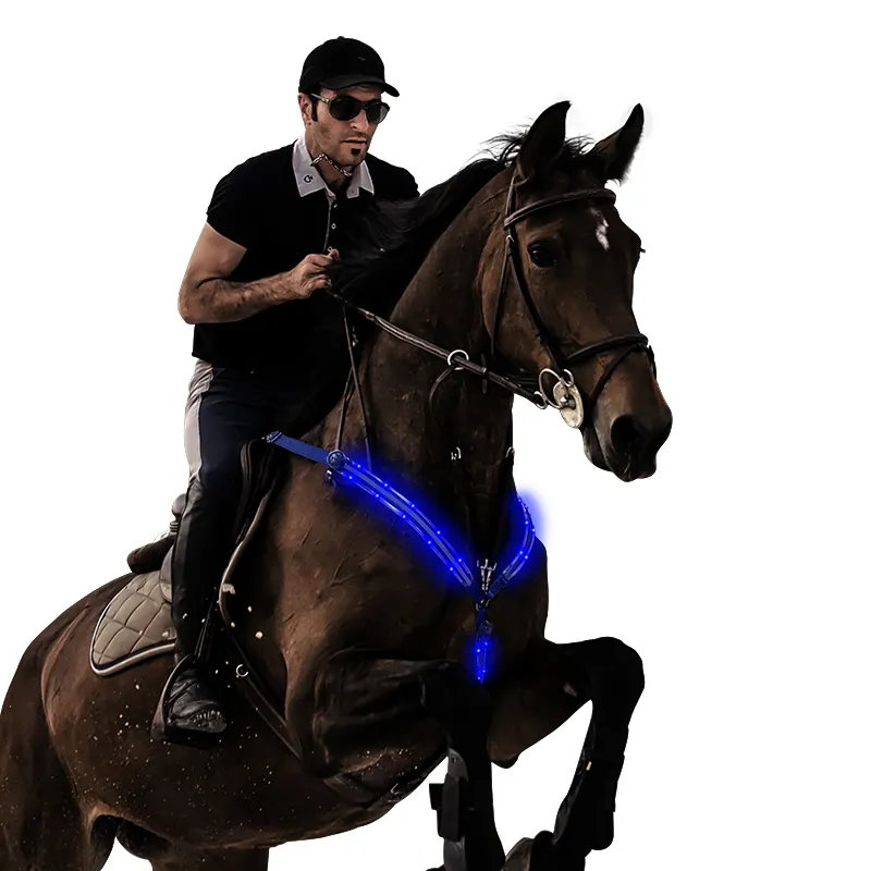 Factory Wholesale Horse Chest Light Up LED Collar Reflective Horse Harness for Horse Ridding
