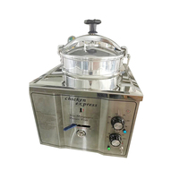 Potato Chips Fryer, Chicken Wing Frying Machine