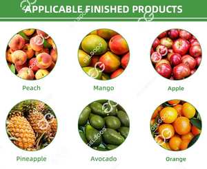 آلة فرز وتصنيف الفواكه الإلكترونية للأناناس والخوخ مع نظام فحص الوزن عبر الإنترنت للبيع - Product Image 6