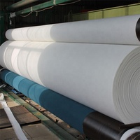 Membrane géotextile en tissu géogéomembrane 300G, tissée et non tissée, en PET, couche filtrante de drainage pour allée