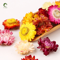 Bunga Flower Kering Grosir Bunga Kering untuk Kerajinan Tangan Dekorasi Lilin Sabun