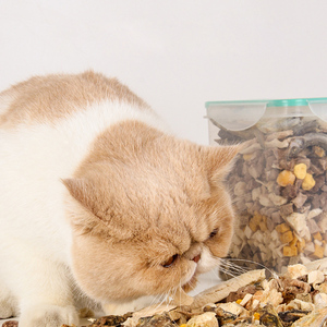 Nourriture pour animaux de compagnie lyophilisée de haute qualité, poulet séché congelé, collation pour chat, nourriture sèche, cubes de poitrine de poulet, foie de poulet, friandises pour chat - Product Image 5