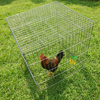 Cages robustes pour coqs de combat de 70 x 70 cm