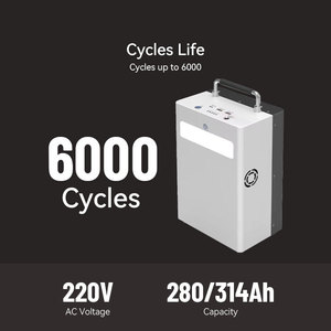 Fuente de Energía Portátil para Exteriores Wiren de 1 kWh |   280/314Ah |   6000 Ciclos |   LiFePO4 |   -20~60 |   Para Camping y Emergencias - Product Image 4
