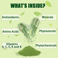 Gélules de Poudre de Feuilles de Moringa 100 % Pures OEM avec Plus de 92 Nutriments et 46 Types d'Antioxydants Soutient la Gestion du Poids et les Antioxydants