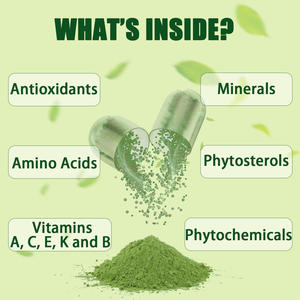 OEM 100% kapsul bubuk daun Moringa murni dengan 92 + nutrisi & 46 jenis antioksidan mendukung manajemen berat antioksidan - Product Image 3