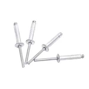 Factory Direct High Quality Stainless Steel Open and Closed Pull Rivets Good Price
