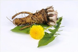 Hot Selling Organic 5% <strong>Dandelion</strong> Root Extract Powder Flavonoids Herb <strong>Dandelion</strong> Flavone <strong>Dandelion</strong> Extract - Product Image 3