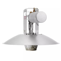 Thermostat automatique pour chauffage de poulailler au gaz GPL, avec vanne de sécurité et lampe chauffante pour poussins, idéal pour l'élevage de poulets, porcs et bétail en ferme.