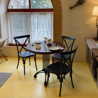 Chaises à dossier croisé pour événements et mariages, pour fêtes et hôtels, pour la restauration et l'utilisation en appartement, chaise en plastique
