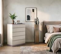 Lemari Sepatu Modern 5 Laci Pilihan Warna Finishing Dua Warna Desain Ramping Kamar Tidur Ruang Tamu Rumah Sakit Gudang Penyimpanan Terbaik